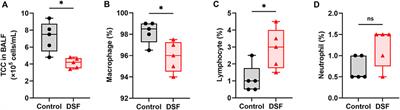 Disulfiram, an Anti-alcoholic Drug, Targets Macrophages and Attenuates Acute Rejection in Rat Lung Allografts